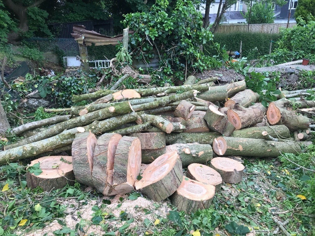 Ash logs for sale! in Carmarthen, Carmarthenshire Gumtree