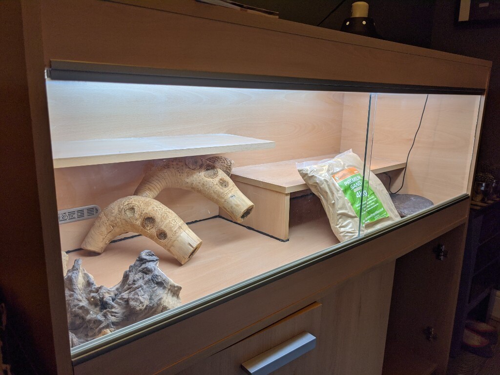 Bearded Dragon Vivarium Setup in Peterborough, Cambridgeshire Gumtree