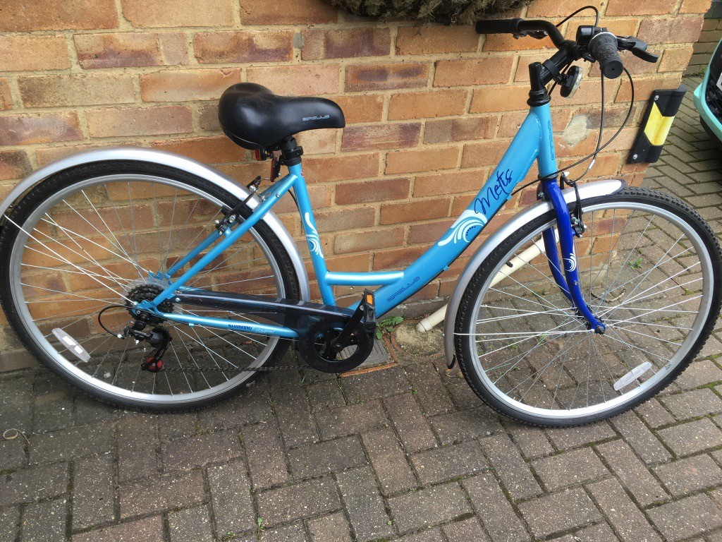 19 inch fahrrad