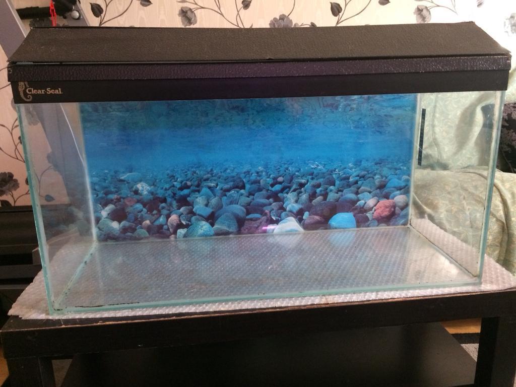 Clear seal fish tank in Hounslow, London Gumtree
