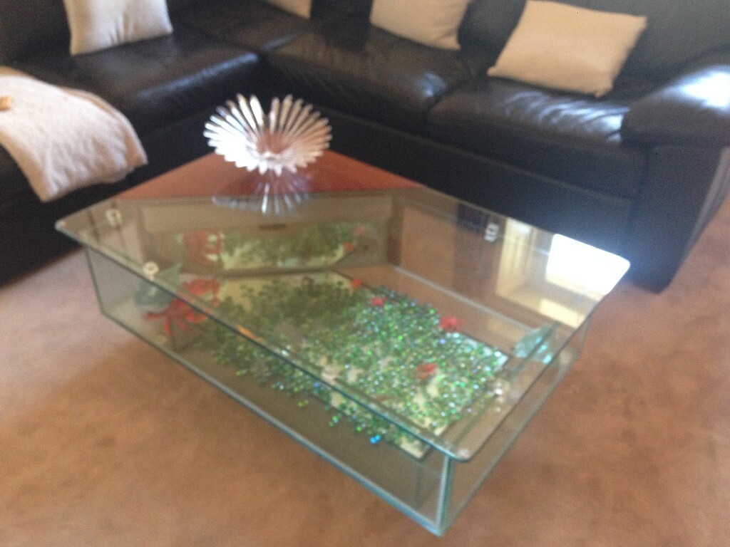 Fish Tank coffee table Collection from Dorset Aquarium in Wimborne