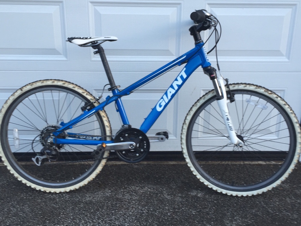 Giant Mountain Bikes Ebay Becycle Bikes