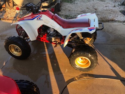 1986 Honda TRX 250r