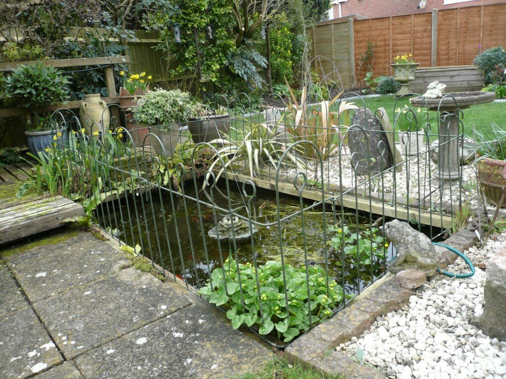 Garden Pond Fencing in Waterlooville, Hampshire Gumtree