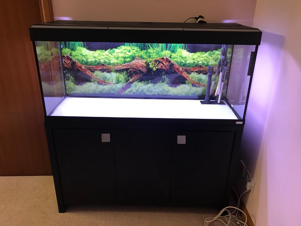 Fish tank 4ft  fluval cabinet  in Turriff Aberdeenshire 