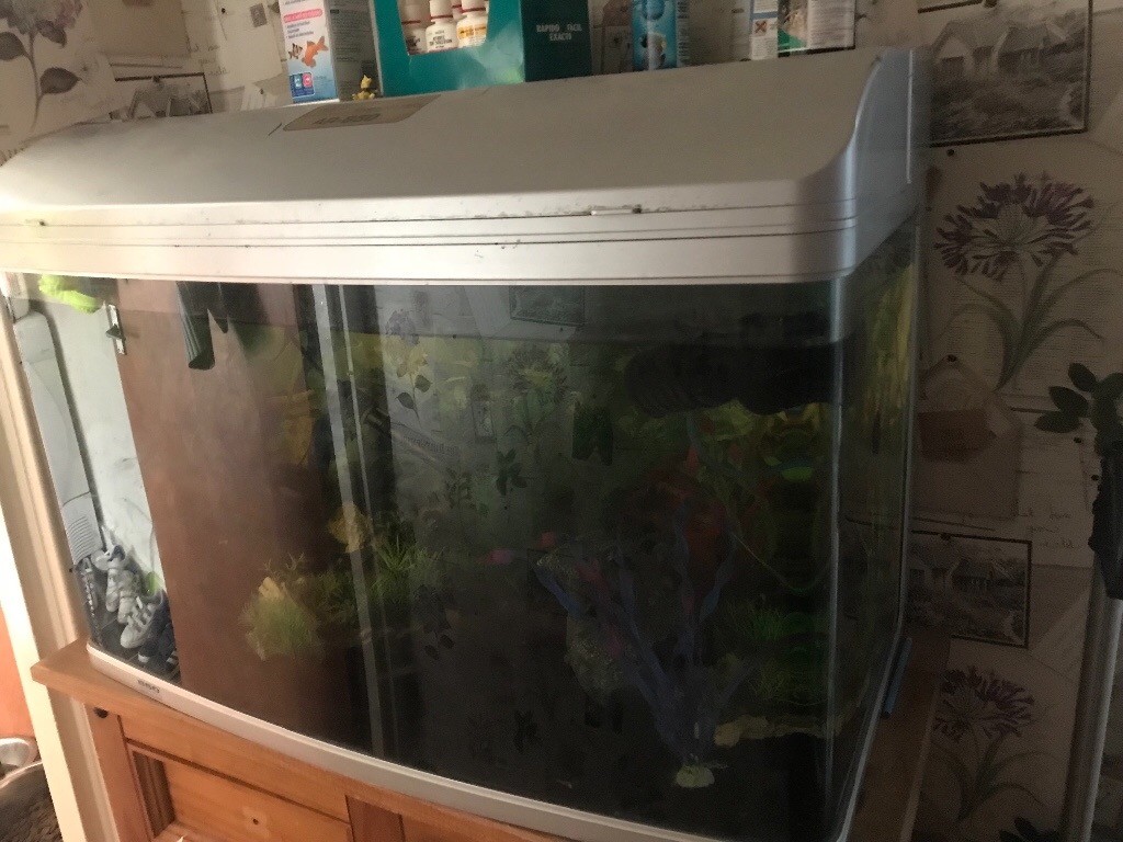 Large fish tank for sale in Perth, Perth and Kinross