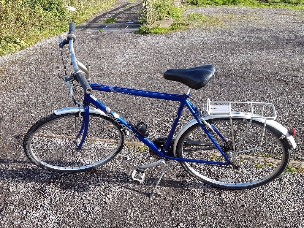 raleigh pioneer 140 ladies bike