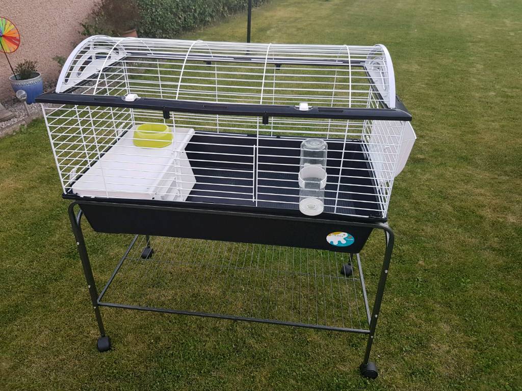 Guinea pig cage with stand in Arbroath, Angus Gumtree