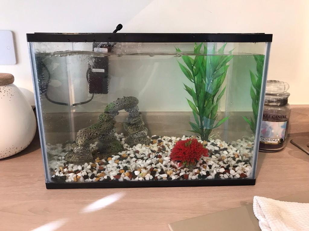 24 litre pets at home fish tank in Neath, Neath Port Talbot Gumtree