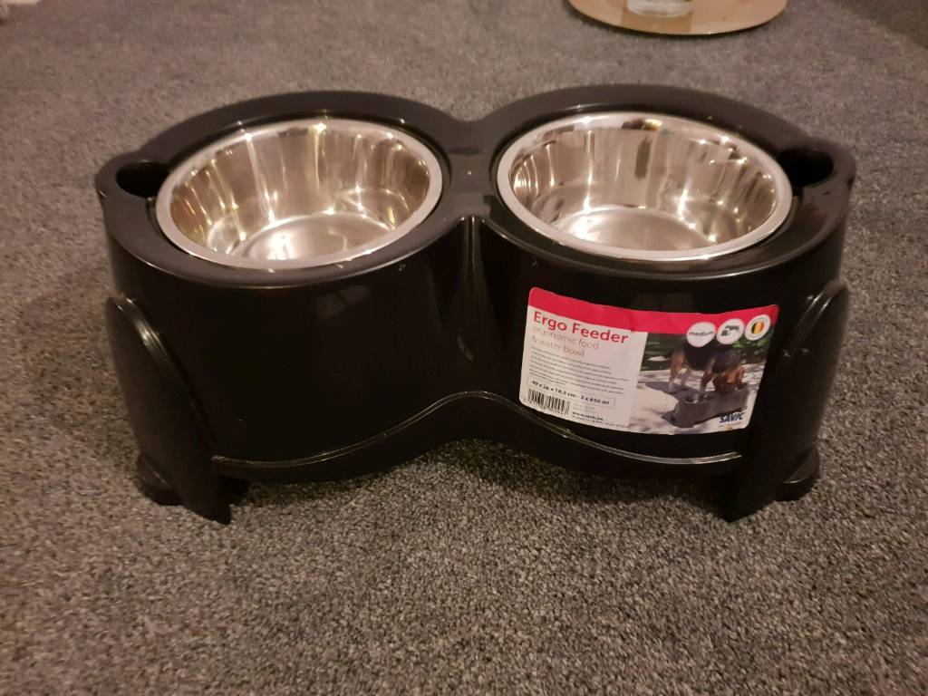 Raised Dog Bowls In Larbert Falkirk Gumtree
