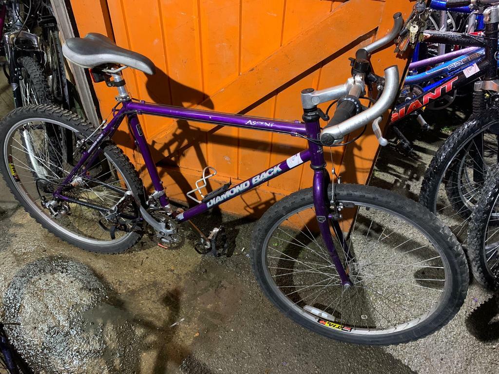 DiamondBack Ascent 19” Frame Mountain Bike. Serviced, Great Condition