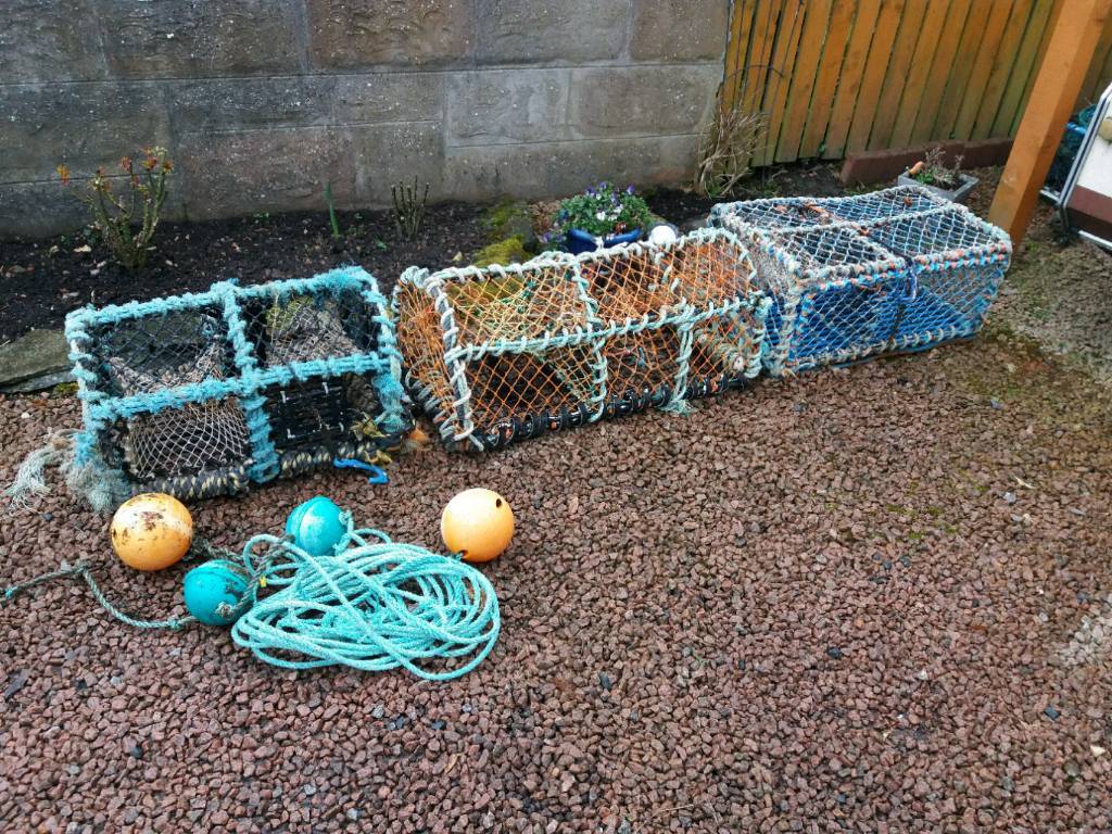 lobster pots creels in Perth, Perth and Kinross Gumtree