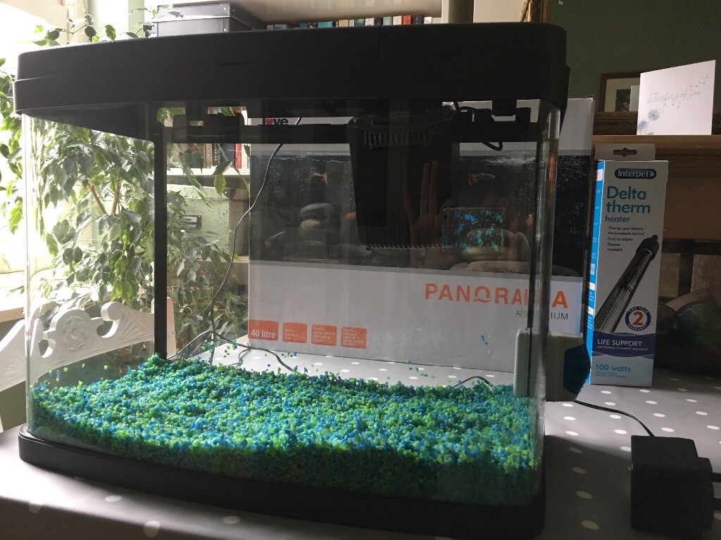 Fish tank (40 litre) including filter, lights and optional heater