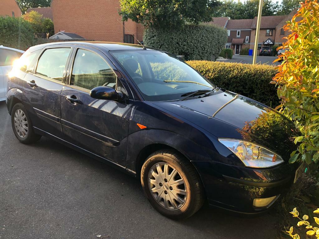 Ford focus chia