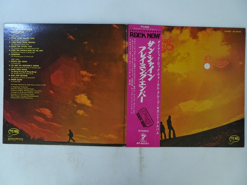 【廃盤/希少】Afterglow / Dust in Flame Somewhere in the Stratosphere 4LP Vinyl – Shinedown
