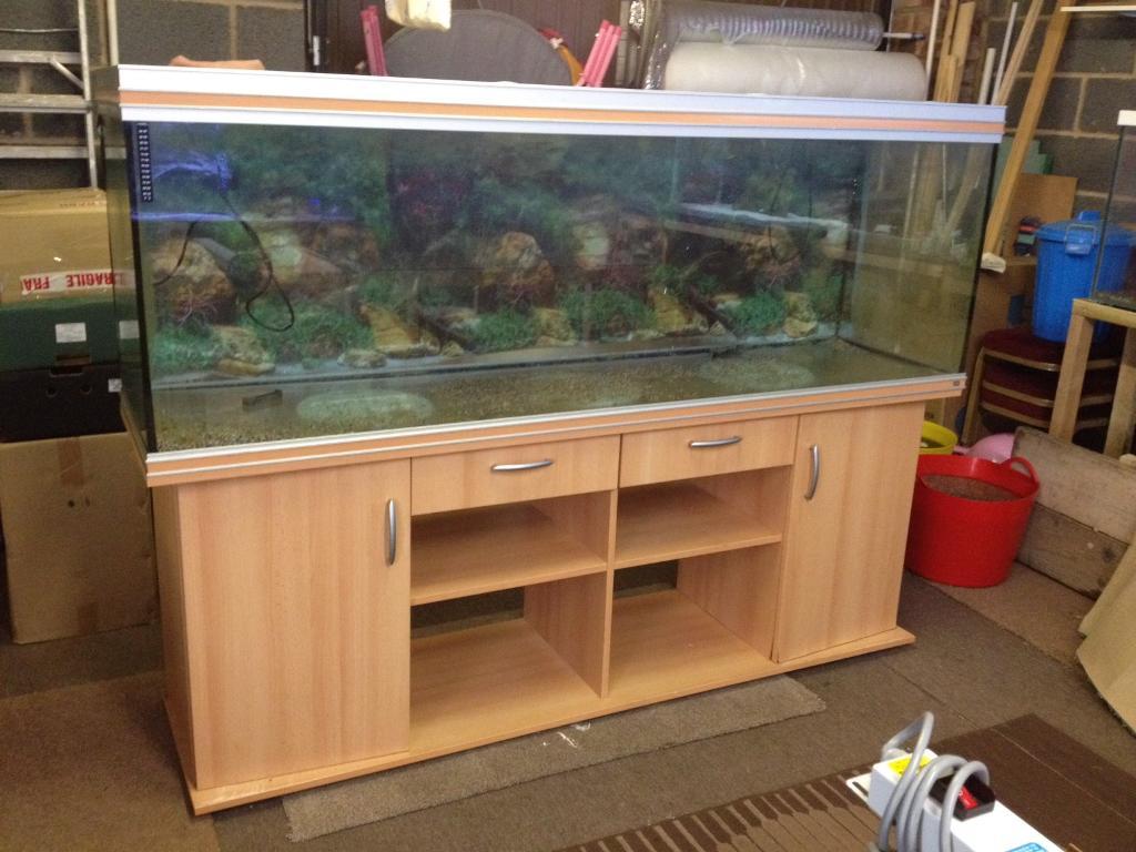 Rena fish tank for sale in Longford, West Midlands Gumtree