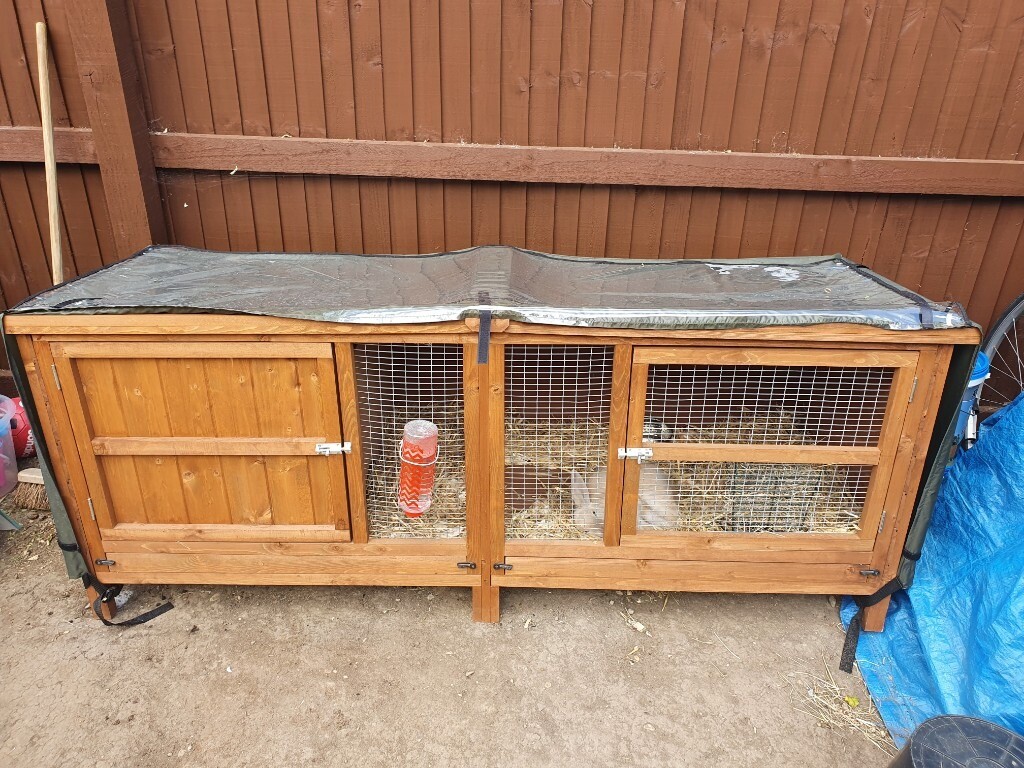 6ft Rabbit Home & Roost Hutch with Cover in Didcot, Oxfordshire Gumtree
