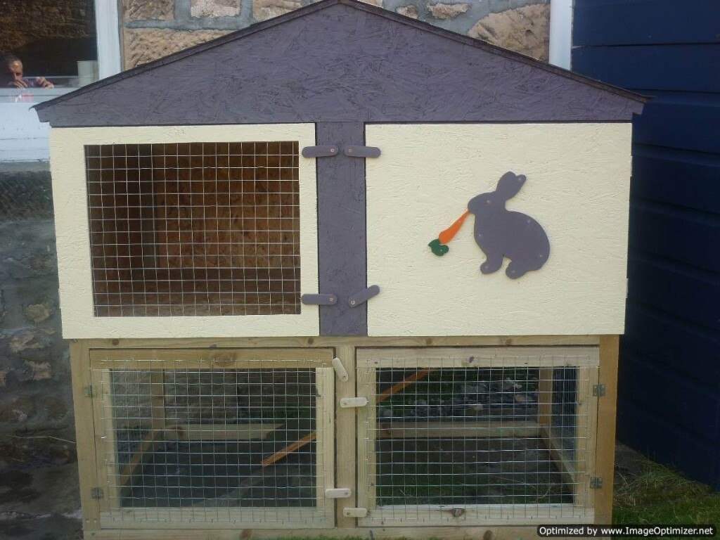 RABBIT HUTCH TWO STOREY in Elgin, Moray Gumtree