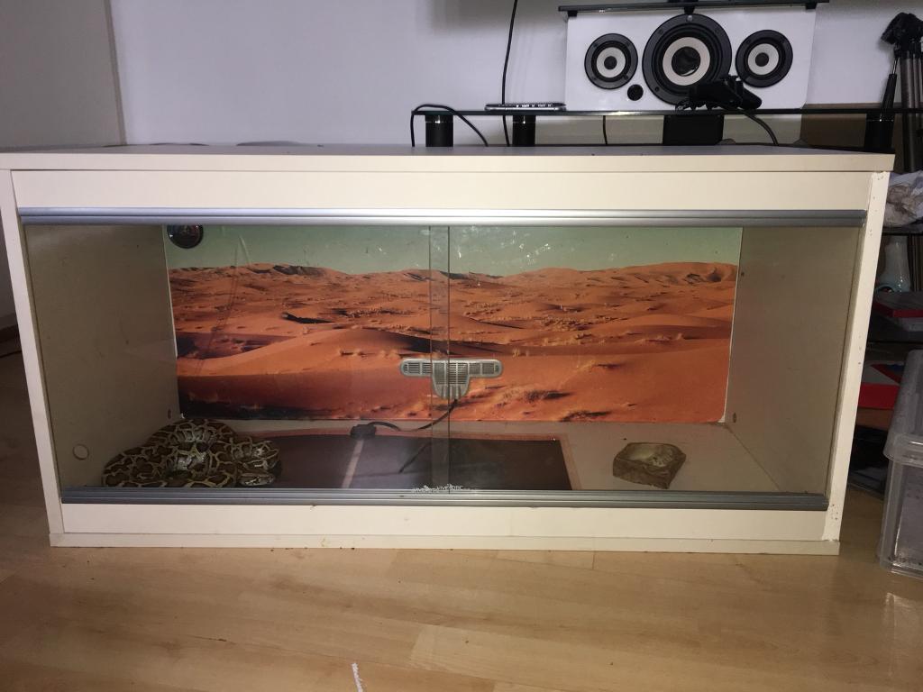3 foot vivarium reptile tank for sale in Newcastle, Tyne and Wear