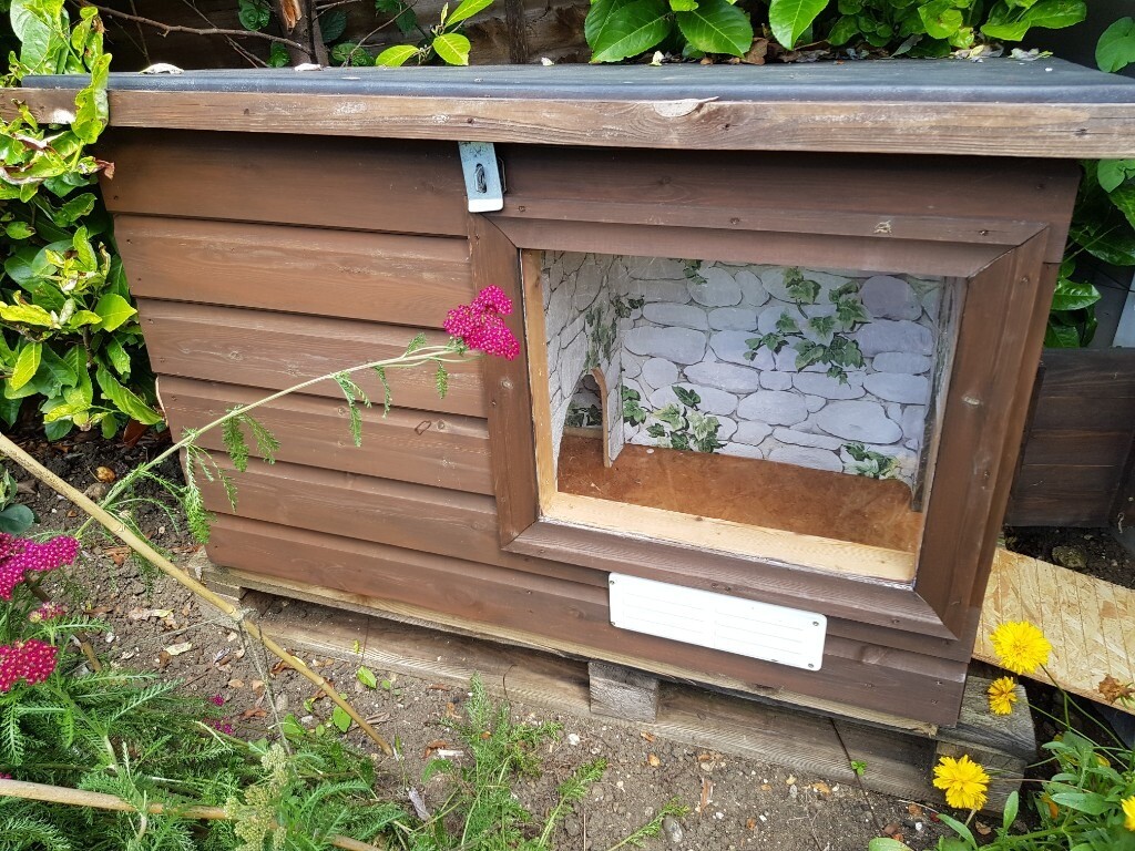 Large insulated outdoor tortoise house in Epsom, Surrey Gumtree