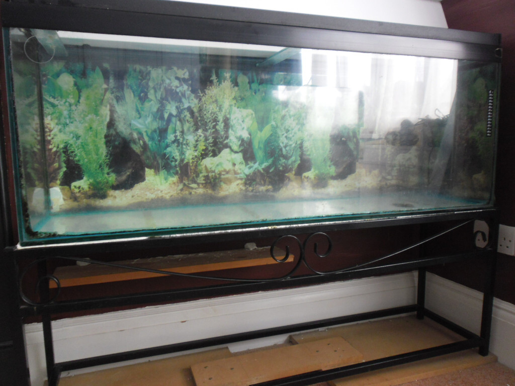 Large glass fish tank with stand for sale. in