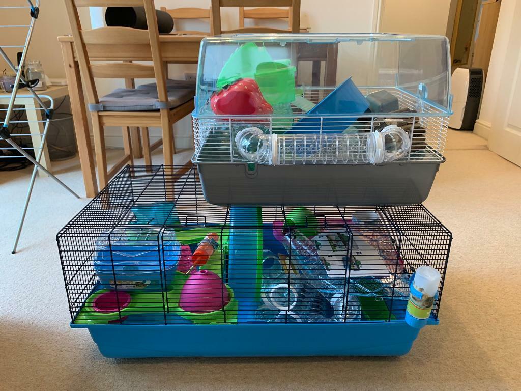 Custom Hamster Heaven Cage in Leamington Spa, Warwickshire Gumtree