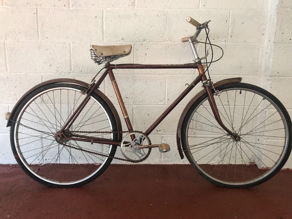 raleigh palm beach bike
