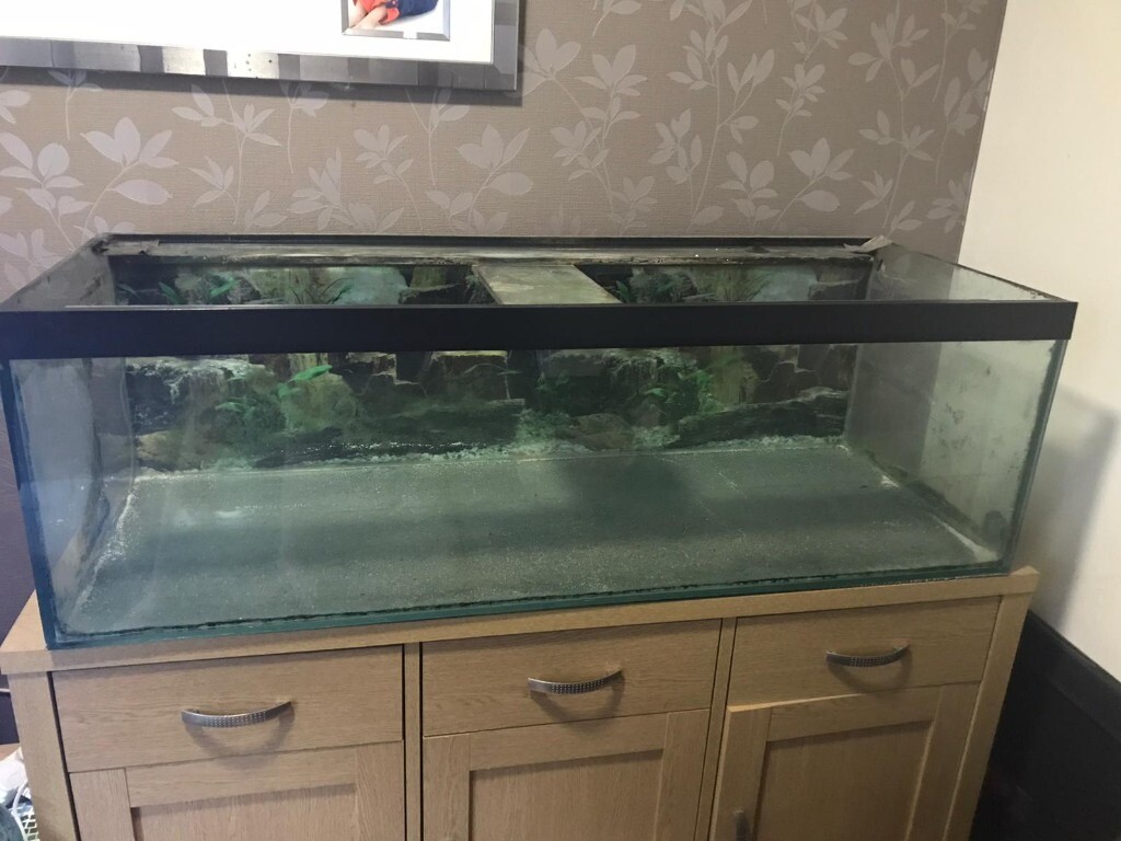 4ft fish tank in Exeter, Devon Gumtree