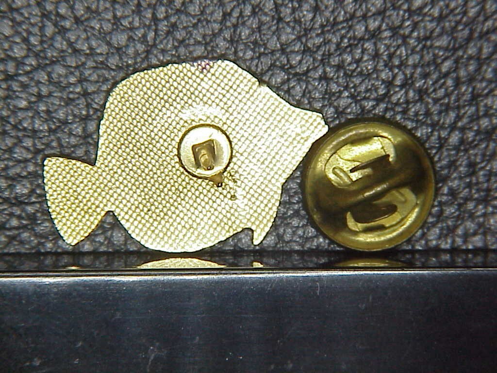PIN– Enamel Fish Pin – 1” - Reef Fish / Yellow