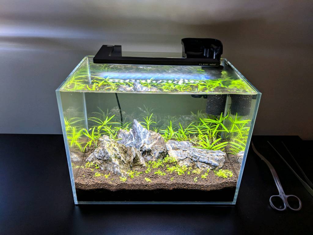 Aquascape Ideas Aquarium Aquascape Mini