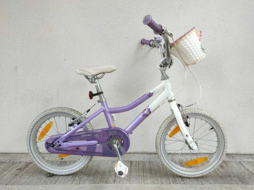 giant childs bike