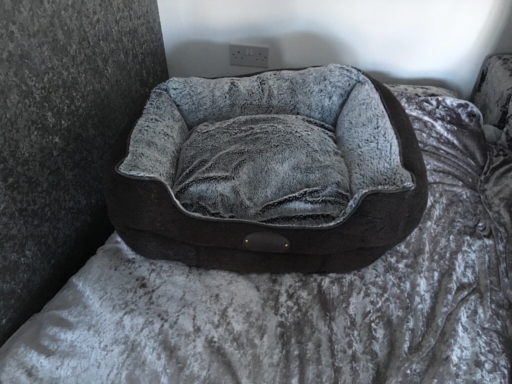 Wainwrights dogs best friend bed dog bed in MartoninCleveland