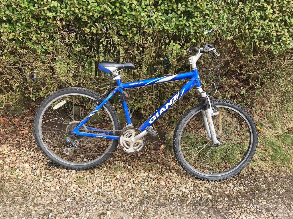 giant men's bicycles