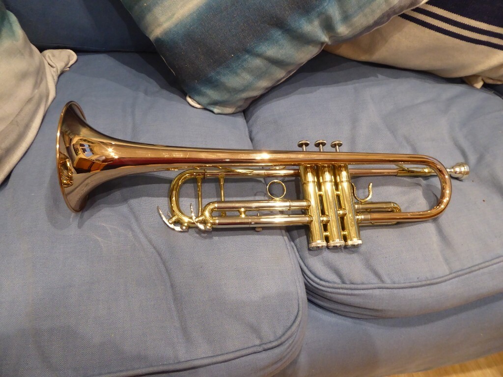 Intermediate trumpet with accessories in West Parley, Dorset Gumtree