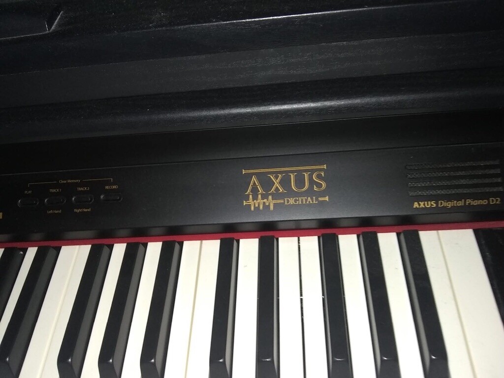 Axus Digital Piano D2 in Chapelhall, North Lanarkshire Gumtree