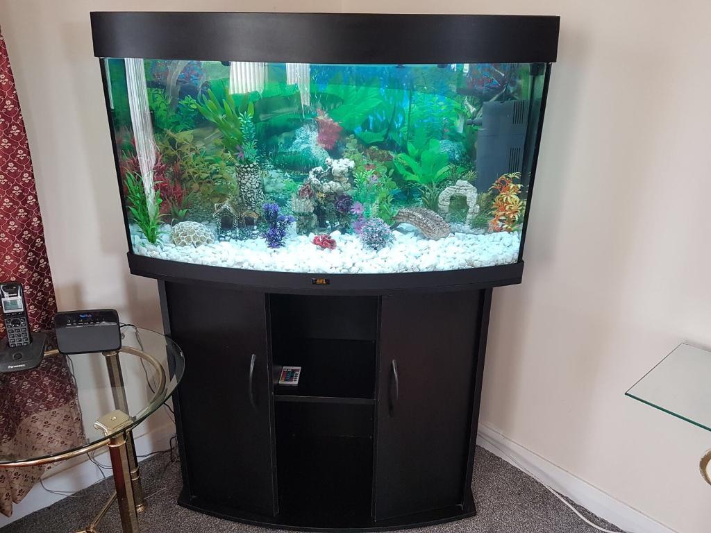 Juwel curved front 180 Litres aquarium in Anniesland, Glasgow Gumtree