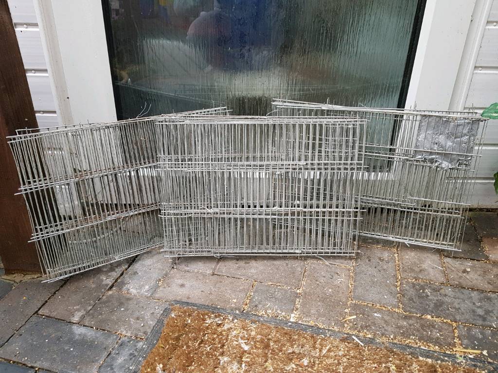 Bird cage fronts in Colchester, Essex Gumtree