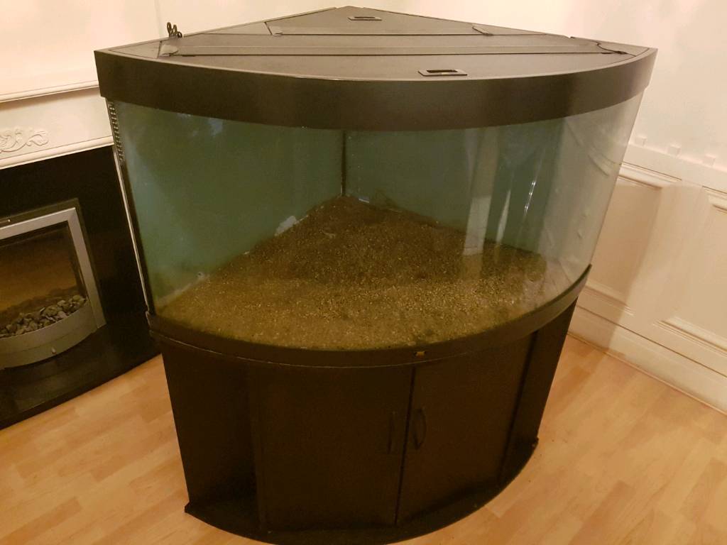Juwel trigon 350 aquarium fish tank in black + + gravel