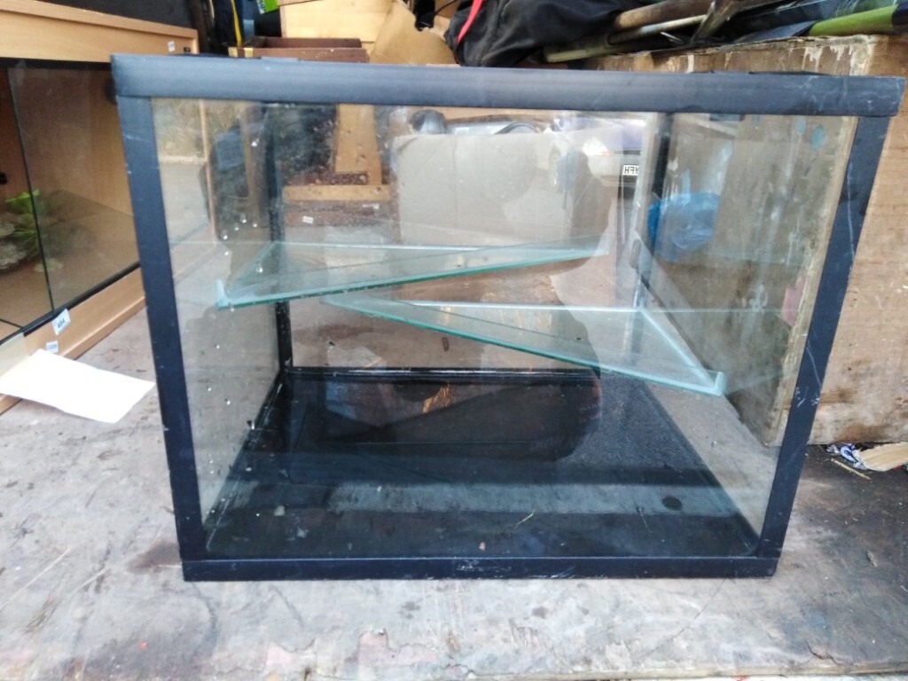 Vivarium with plastic and mesh lid in Crewkerne, Somerset Gumtree