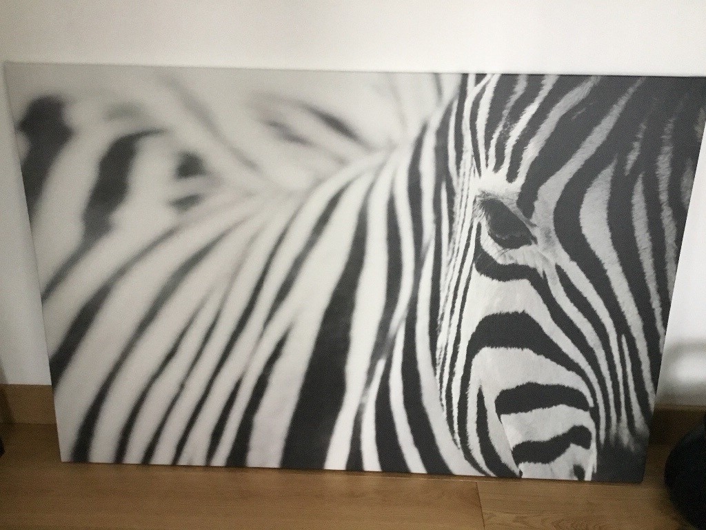 Ikea black & White Zebra Print in Grange, Edinburgh Gumtree