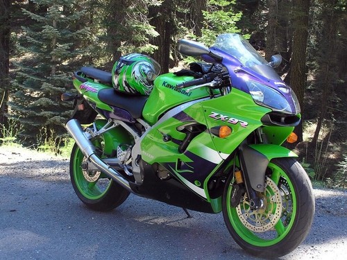 Kawasaki Ninja ZX9R ZX-9R 2000-2003 E1 E2 F1 F2 Stainless