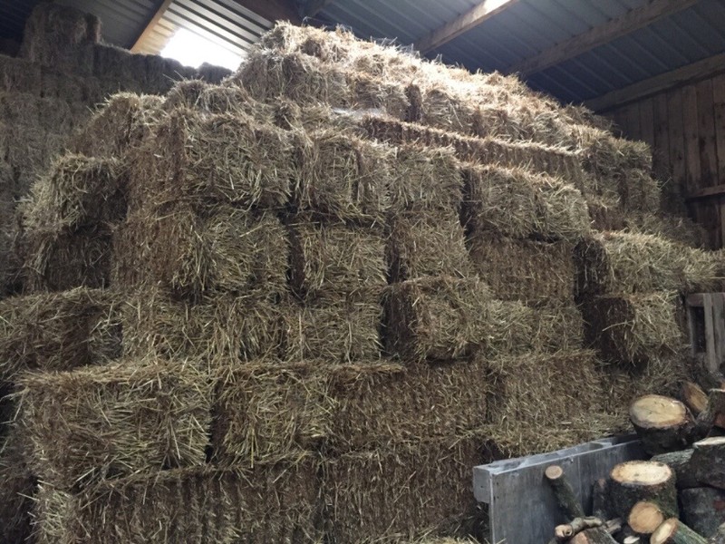 Straw Bales for sale in UK 28 secondhand Straw Bales