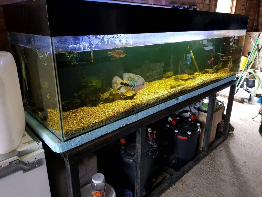 7 x 2 x 2ft fish tank and stand in Ipswich, Suffolk Gumtree