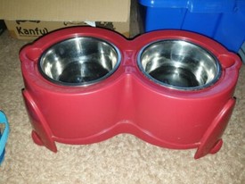 Chihuahua Puppy For Sale Mr Cuddles In Lytham St Annes