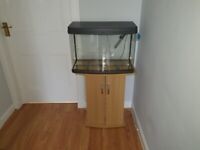 Fish tank and stand 