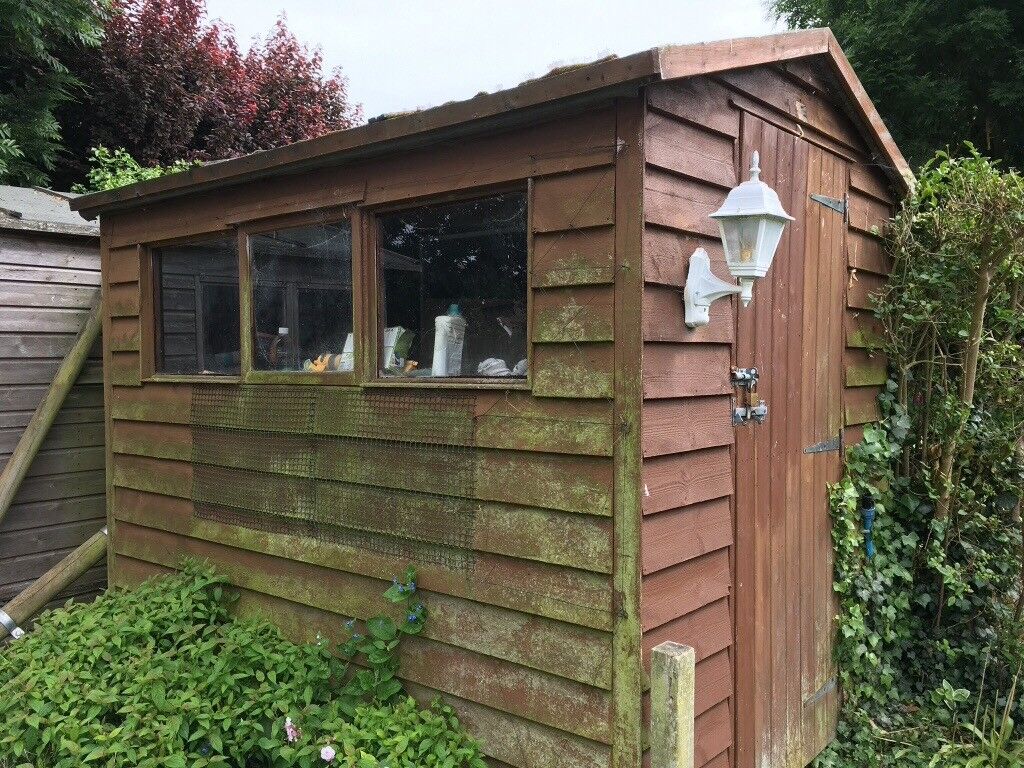 used wooden garden shed 8' x 6' in whitstable, kent