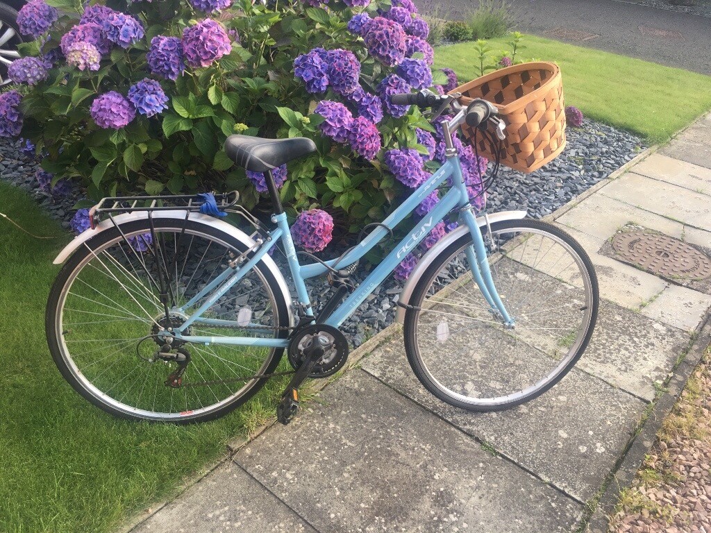 Ladies Raleigh Active bike with basket in Glenrothes, Fife Gumtree