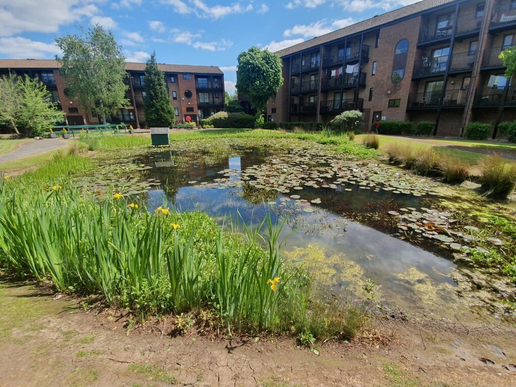 49 Castle Gardens, Nottingham, Nottinghamshire, NG7 1HH For Sale By