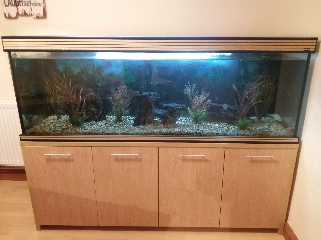 6ft fish tank with extras in Cirencester