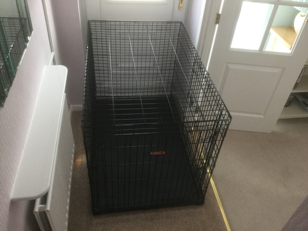 Extra large Kong 2 door ultra strong dog crate in Bournemouth, Dorset